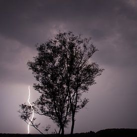 Lightning by Maarten Krabbendam