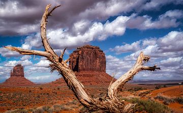 Monument Valley