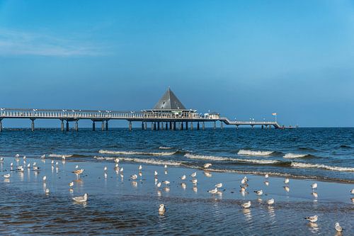 Seebrücke Heringsdorf, Deutschland