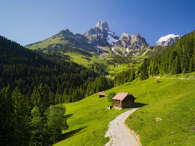 Alpensommer I von Rainer Mirau