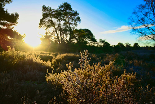 Het begon licht