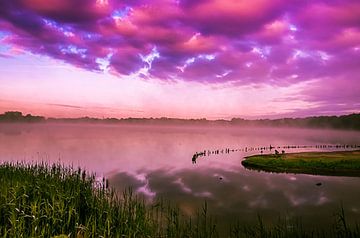 Purple morning... by Hermen van Laar