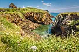 Coast near the Ile d`Aber, Brittany by Christian Müringer