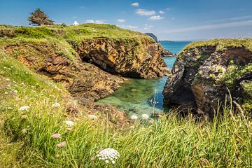 Coast near the Ile d`Aber, Brittany