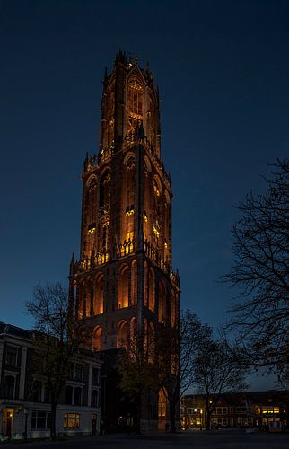 Prachtig licht op onze 