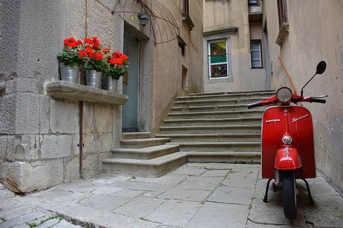 Rode Vespa scooter en geraniums Italië