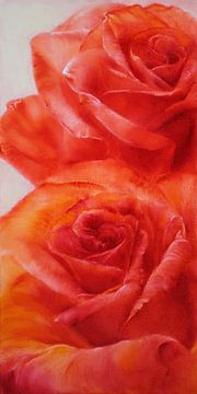 rose sur Annette Schmucker