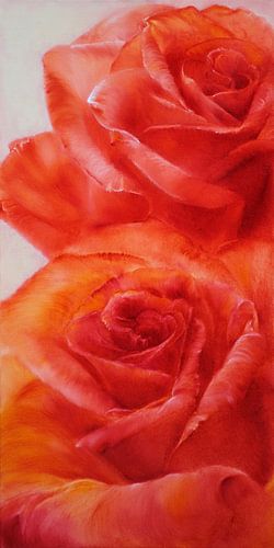 roses by Annette Schmucker