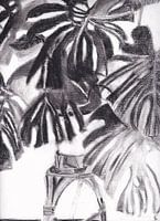 Vingerplant