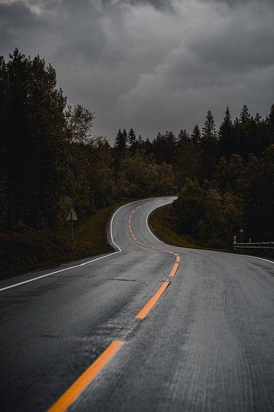 Landstraße in Norwegen von Pitkovskiy Photography|ART