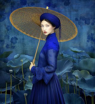 Lotus bleu