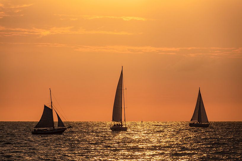 Segelschiffe auf der Hanse Sail in Rostock von Rico Ködder