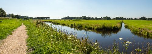 Panorama van een Weiland