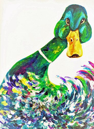 Aagje le canard curieux.