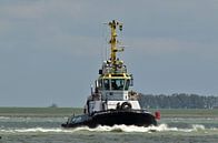 Multratug 9 by Henk Noevers thumbnail
