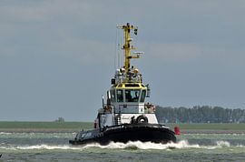 Multratug 9 von Henk Noevers