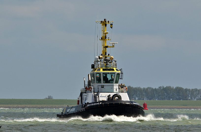 Multratug 9 by Henk Noevers