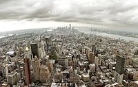 View from the Empire State Building van Tineke Visscher thumbnail