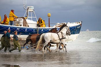 Paardenreddingboot Ameland