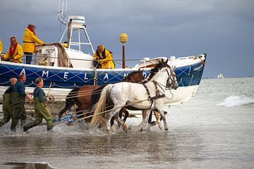 Paardenreddingboot Ameland van Rosalie Elema