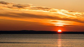 Zonsondergang Bodenmeer van Dieter Walther