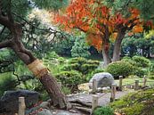 Kiyosumi Garden, Tokyo van Eline Melis thumbnail