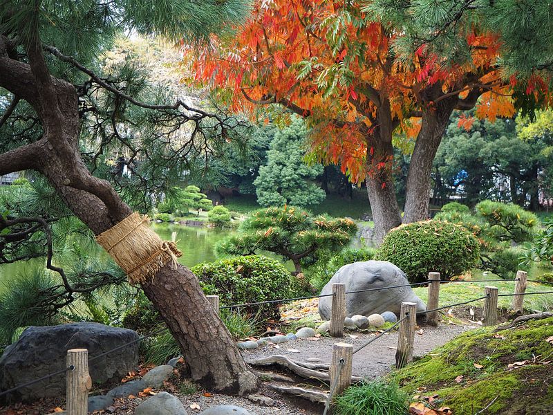 Kiyosumi Garden, Tokyo van Eline Melis