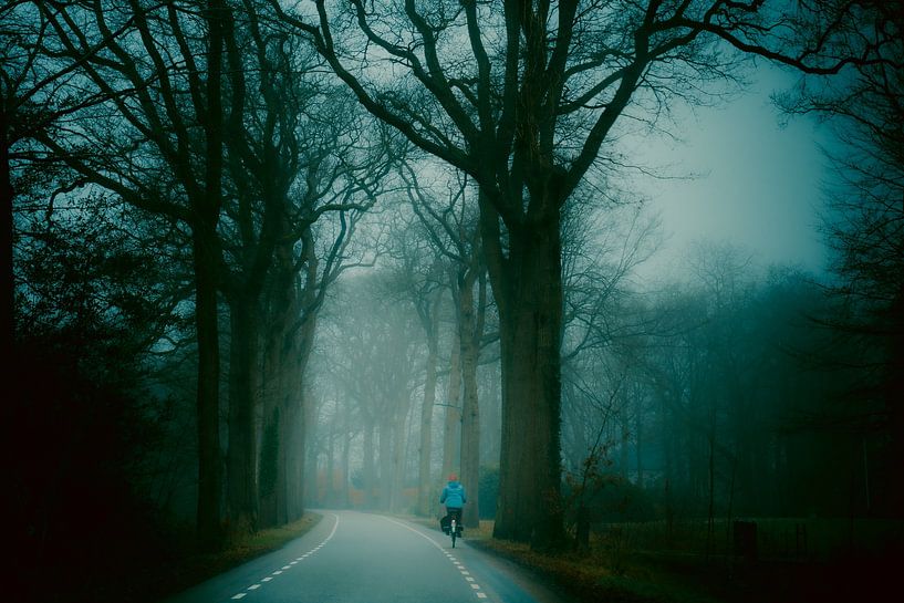 Nebliger Nachmittag in Oranjewoud von IlseKoole