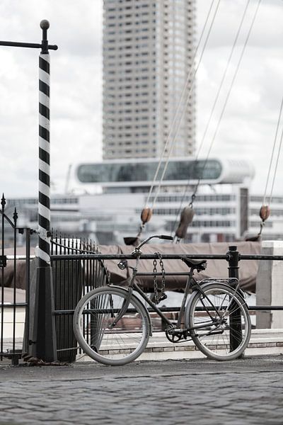 Der Veerhaven Rotterdam von Rob van der Teen