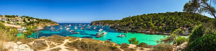 Portals Vells with luxury yachts at seaside of Mallorca island, Spain Mediterranean Sea by Alex Winter