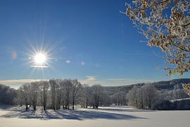 Winter von Karin Jähne