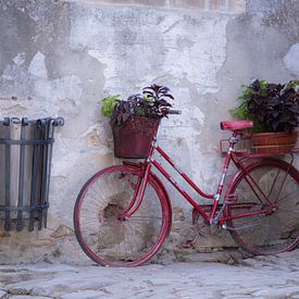 Oude rode fiets met bloemen van Maurice Welling
