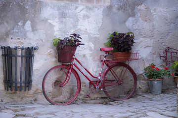 Oude rode fiets met bloemen van Maurice Welling