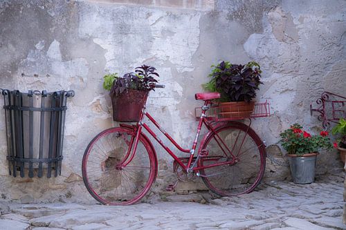 Altes rotes Fahrrad mit Blumen