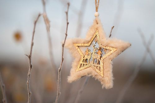 Wintertafereel part 2