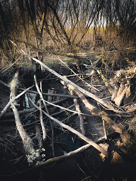 Grienden Anders 02 by Dick de Gelder