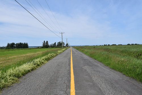 Eine sommerliche Landstraße