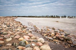 Groynes on the Baltic Sea coast sur Rico Ködder