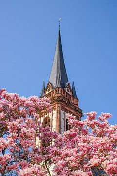 Darmstadt: Magnolien für den Kirchturm von St. Elisabeth, Martinsviertel von pixxelmixx