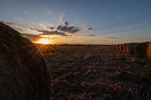 Le crépuscule sur la récolte