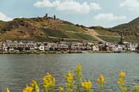 Duits dorp langs de Rijn | Reisfotografie fine art foto print | Duitsland, Europa
