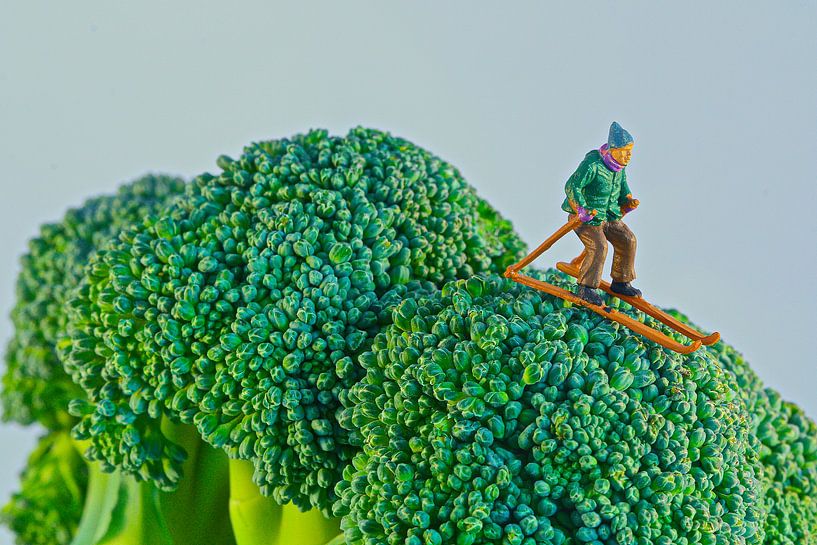 Brocoli Helling van Ellen Pruiksma