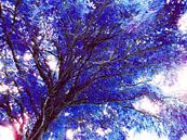 Tree Magic 58 - fairy colors van MoArt (Maurice Heuts) thumbnail