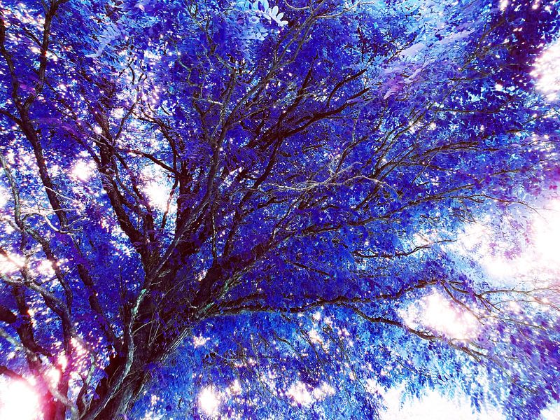 Tree Magic 58 - fairy colors van MoArt (Maurice Heuts)