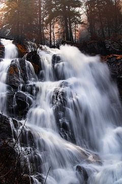 Todtnauer Wasserfall - Hochschwarzwald von Tim Zentgraf