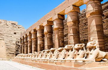 The Karnax temple with the sphinxes in Luxor Egypt by MADK