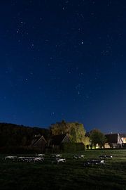 Starry night by Stephan Schulz