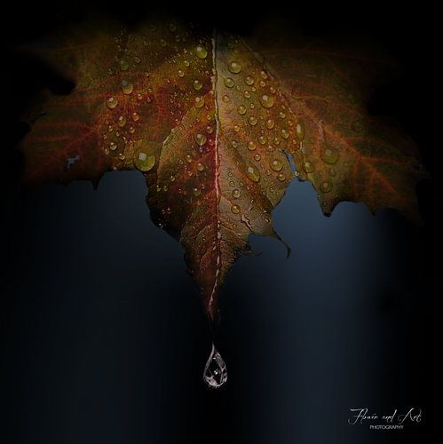 Vallende regendruppel