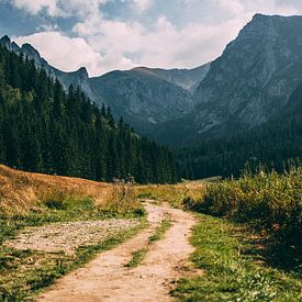 Valley in Late Summer by Patrycja Polechonska