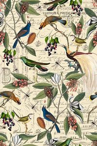 Nostalgische vogels van Andrea Haase